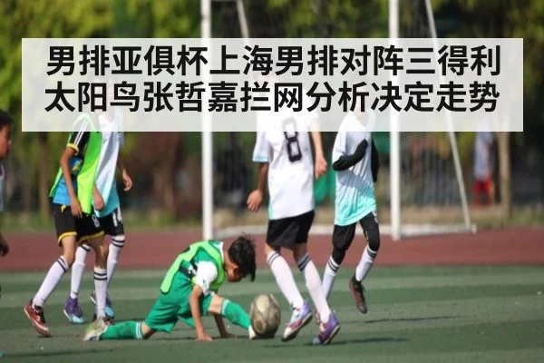 男排亚俱杯上海男排对阵三得利太阳鸟张哲嘉拦网分析决定走势 | kaiyun