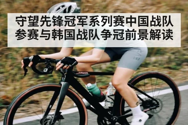 守望先锋冠军系列赛中国战队参赛与韩国战队争冠前景解读 | kaiyun